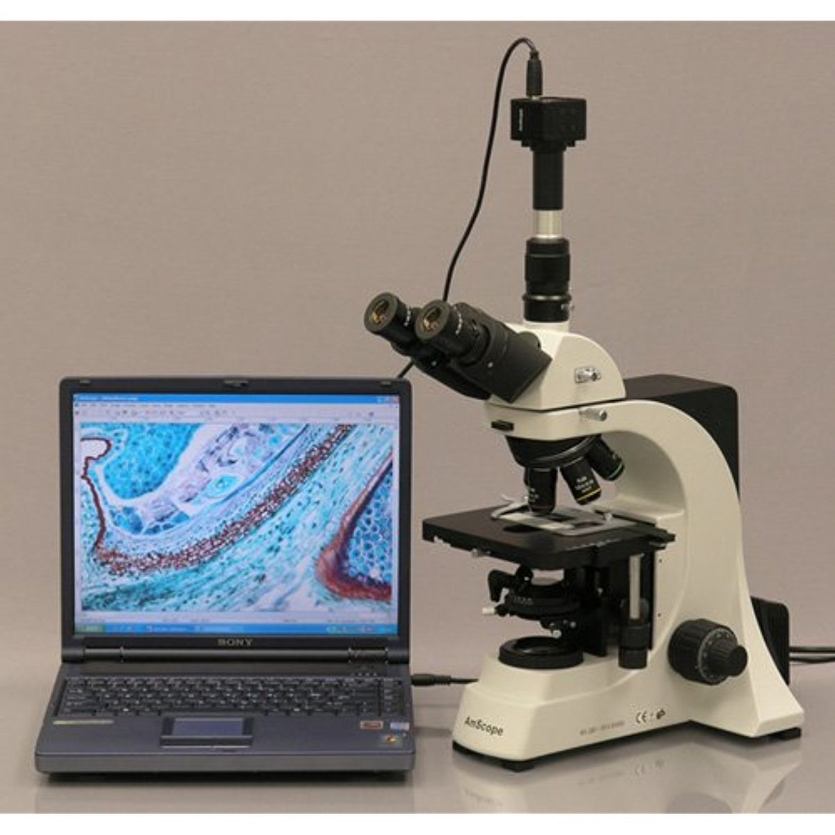 A microscope connected to a laptop displays a detailed microscopic image on the screen. The microscope, labeled "AmScope," is positioned next to the laptop, which is showing a colorful slide with intricate patterns. The setup is on a plain surface against a neutral background.